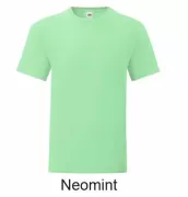 FRUIT OF THE LOOM 61-023-0 DziecięcyTshirt Iconic 150g