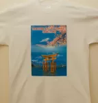 galeria koszulka 8800