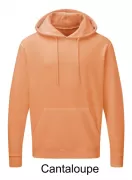 SG 276.52 Męska bluza z kapturem 280g